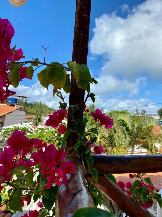 Aurora Hostel Praia de Pipa エクステリア 写真
