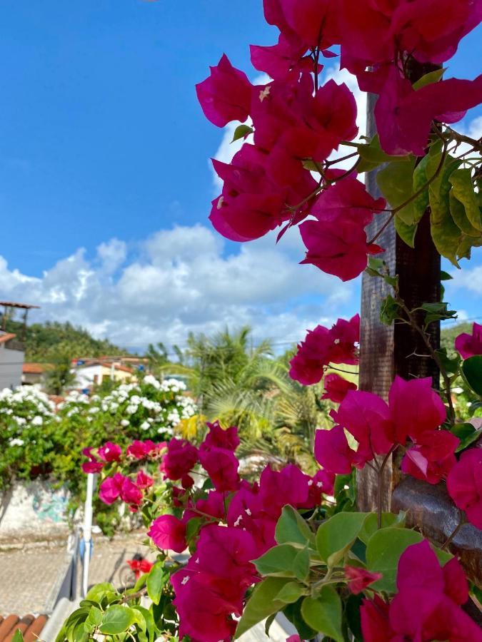 Aurora Hostel Praia de Pipa エクステリア 写真